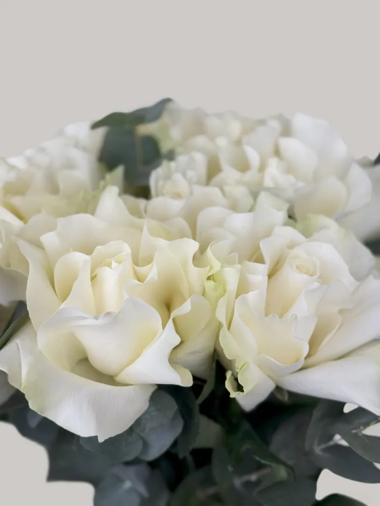 8 white roses